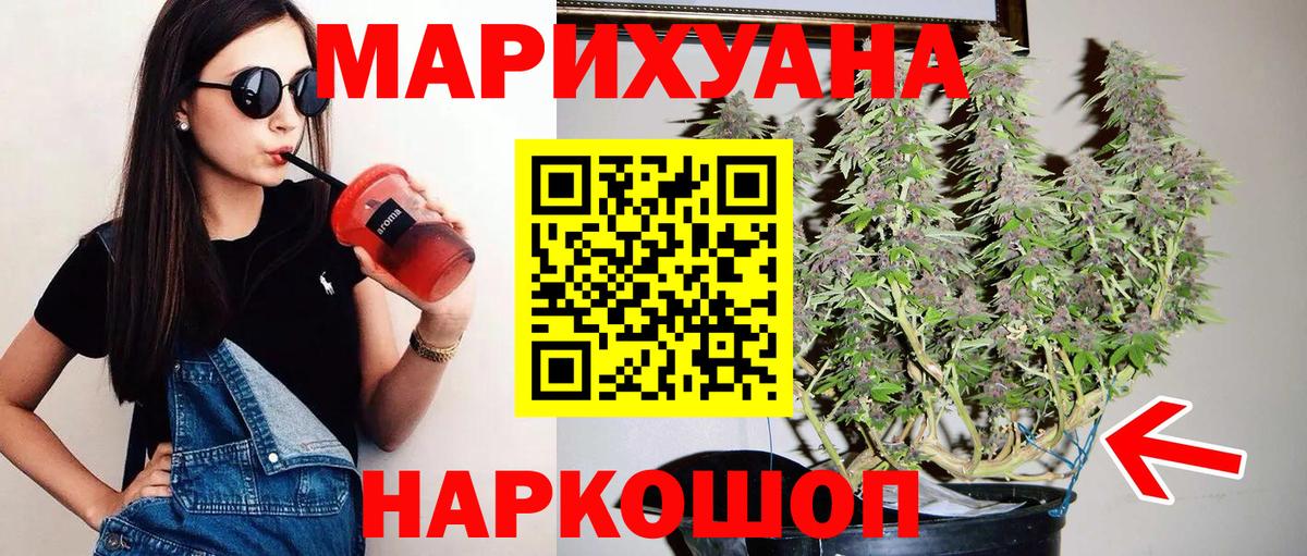 Каннабис планчик  Вход с VPN  Марихуана сатива  Каннабис сатива  Октябрьский 